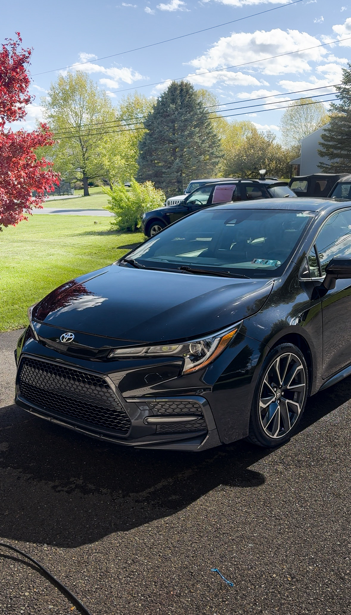 Full Premium Detail